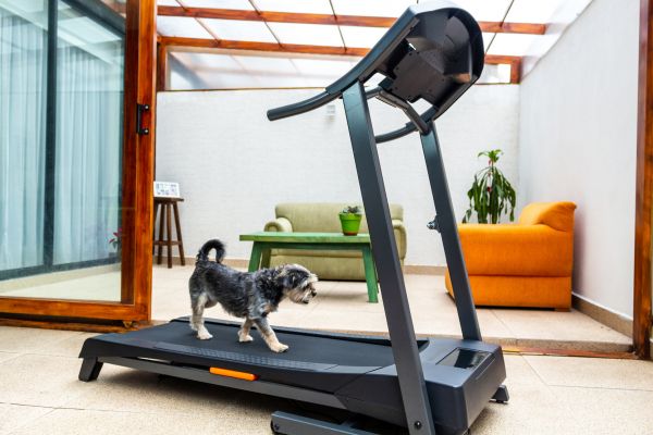 Treadmill Installation in Park City