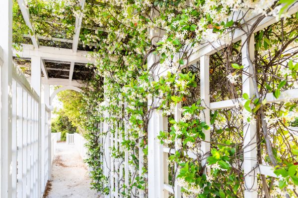 Trellis Repair in Park City