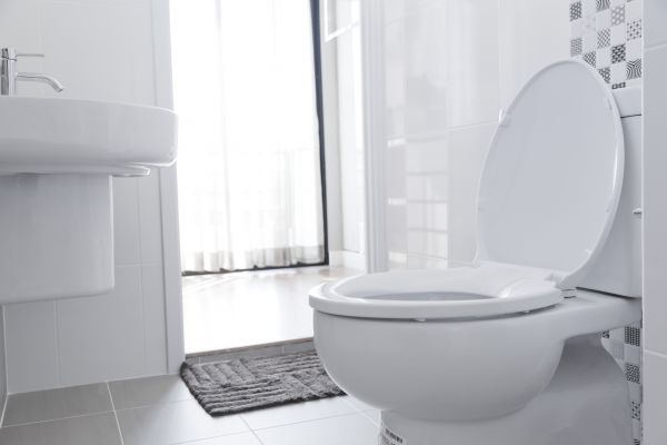 Cost of Toilet Seat Installation in Park City
