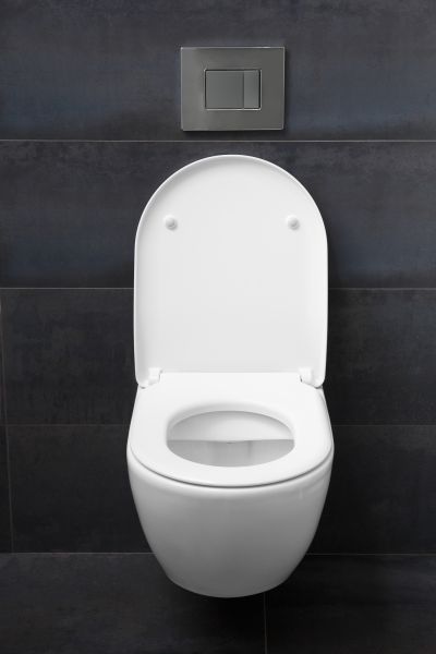 Toilet Lid Installation in Park City