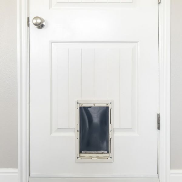 Pet Door Repair in Park City