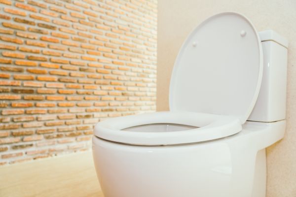 Cost of Toilet Seat Repair in Park City